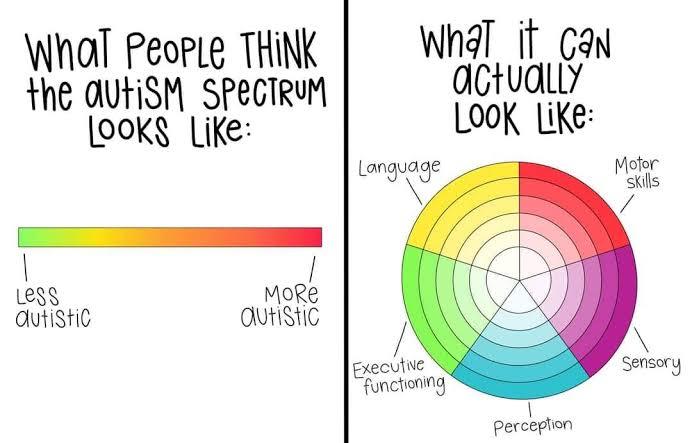 The different color wedges, labeled “language,” “motor skills,” “executive functioning,” “perception,” and “sensory,” are all autism traits, and how dark/far out on the continuum you are indicates how intensely those traits manifest. Depending on where they fall on each continuum, one autistic person can look very different from another.