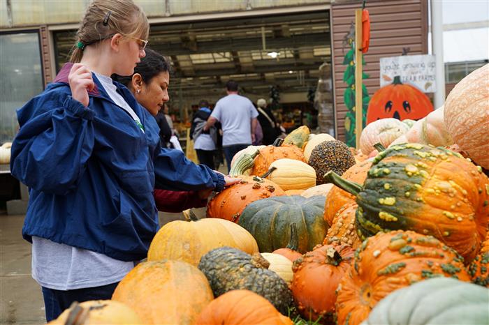 Pathfinder Trax Farms Trip 2022 - Student observing pumpkins