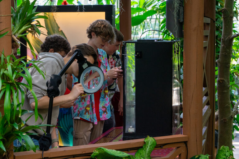 student looks through magnifying glass at Eco Challenge event