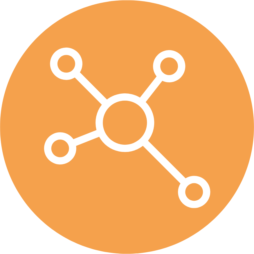 icon-network network