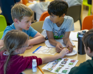 Students participate in the Eco Challenge