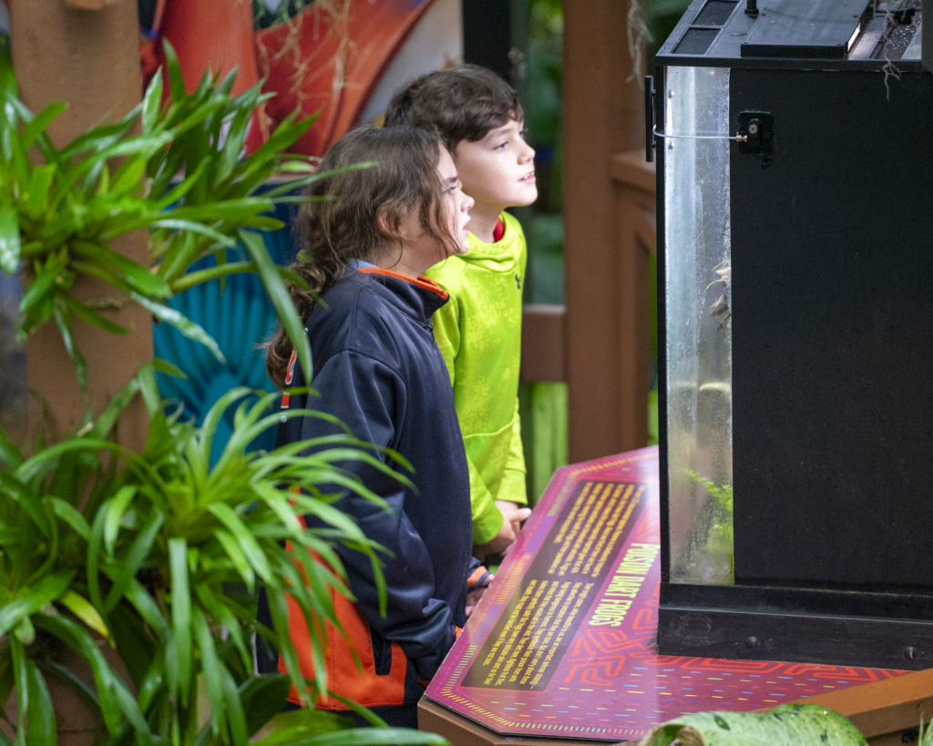 Students participate in the Eco Challenge