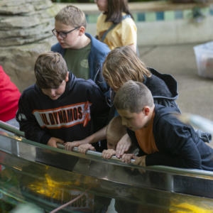Students participate in the Eco Challenge