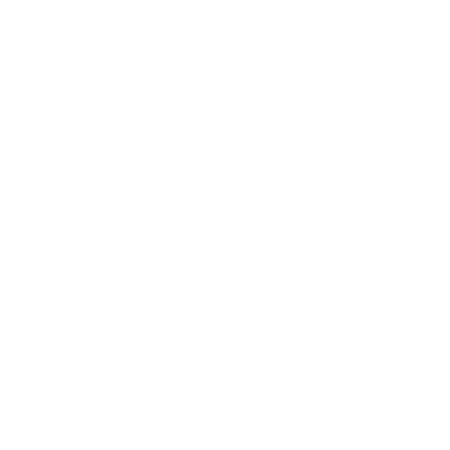 Announcement Icon