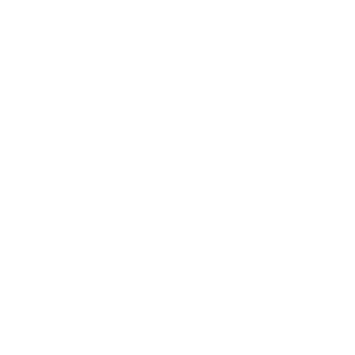 Student support services